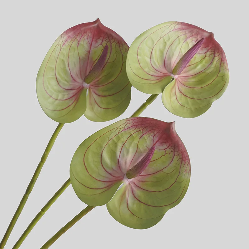 Sphagnum Moss Dry - Simulated Flower Living Room Home Decoration