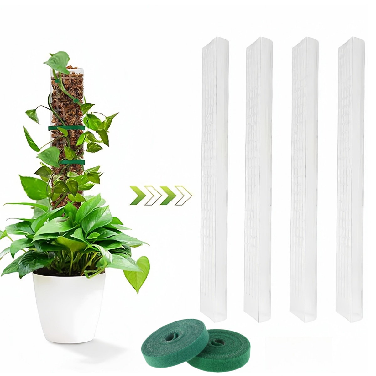 Sphagnum Moss Dry - 2/4/6Pcs Moss Pole Plastic Plant Stand