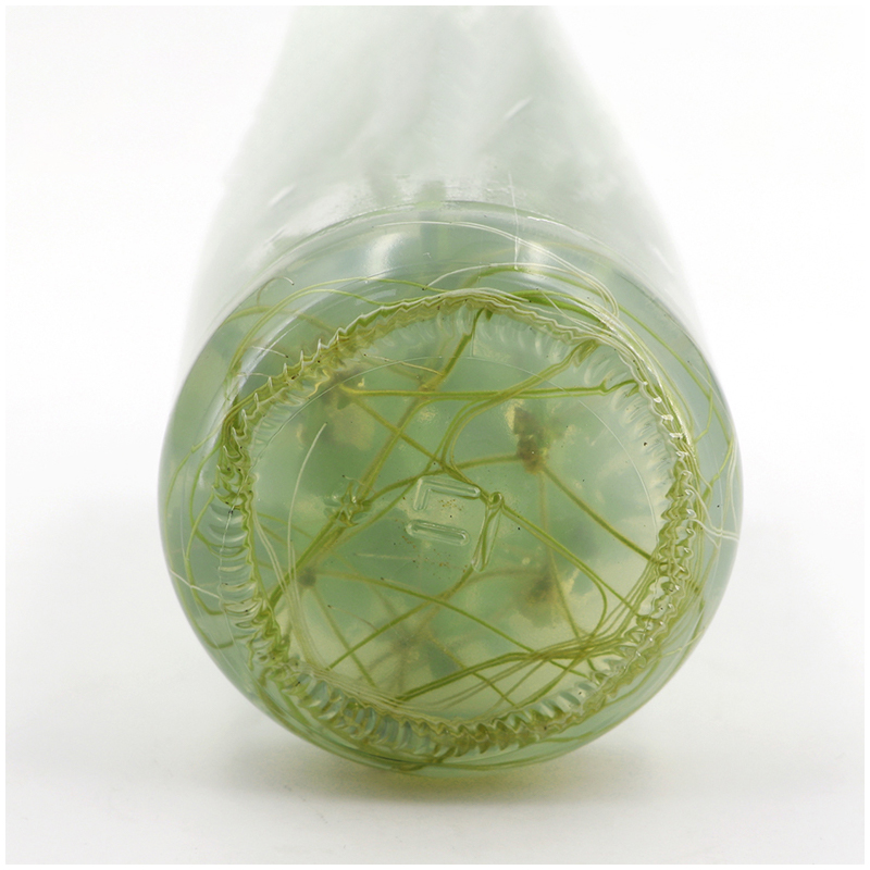MS Medium Without Agar Or Sucr - Agar Tissue Culture ulasan dan harga
