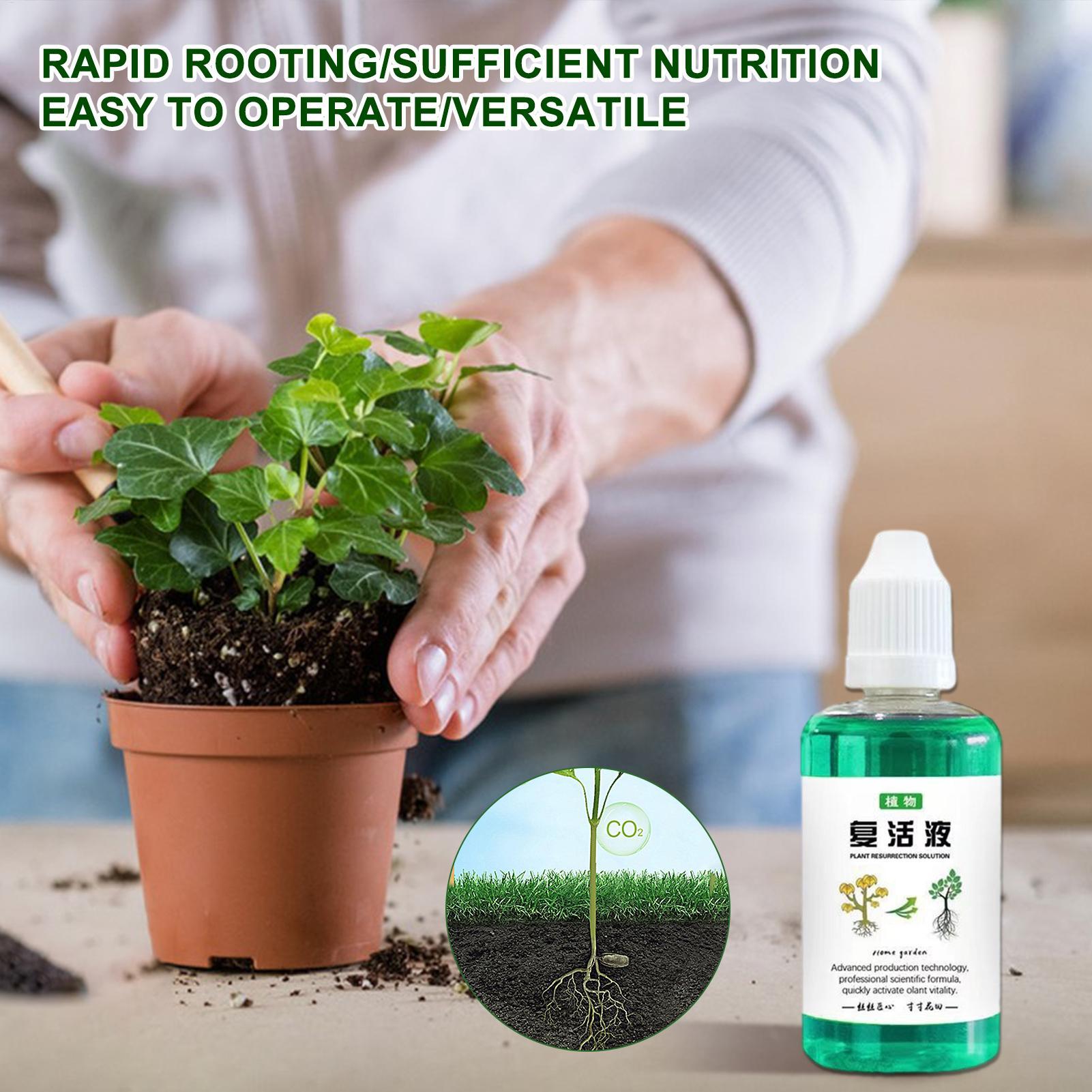 50ml Root Stimulator Plant Res - Root Stimulator Liquid ulasan dan harga