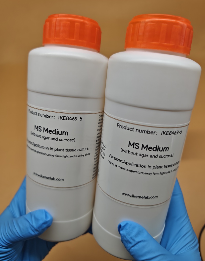 IKEME 250g Lab MS Medium Witho - Agar Tissue Culture ulasan dan harga