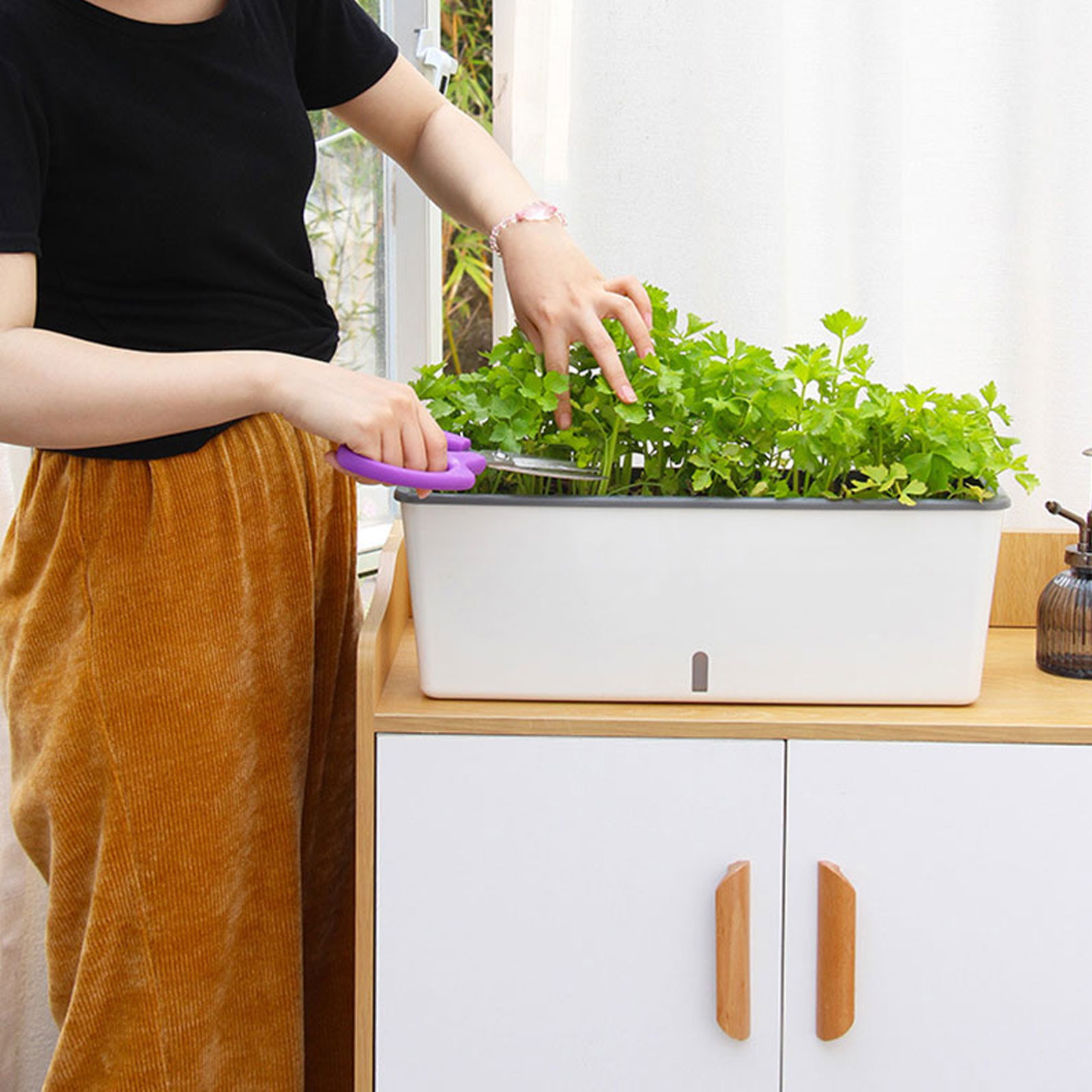 Self-Watering Planter Pots wit - Self Watering Insert ulasan dan harga