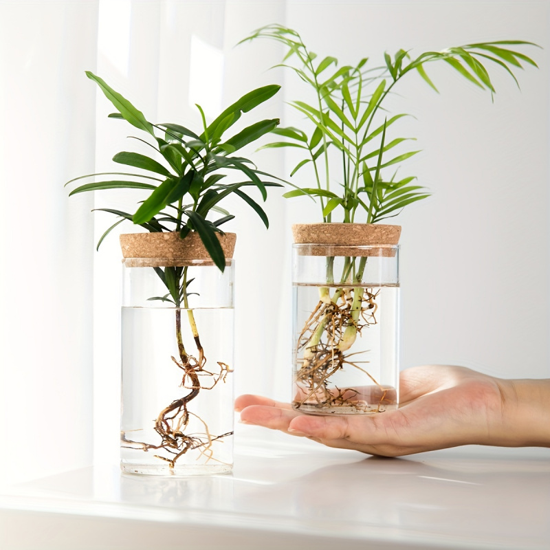 1pc, Hydroponics Plants Deskto - Propagation Station Vase ulasan dan harga