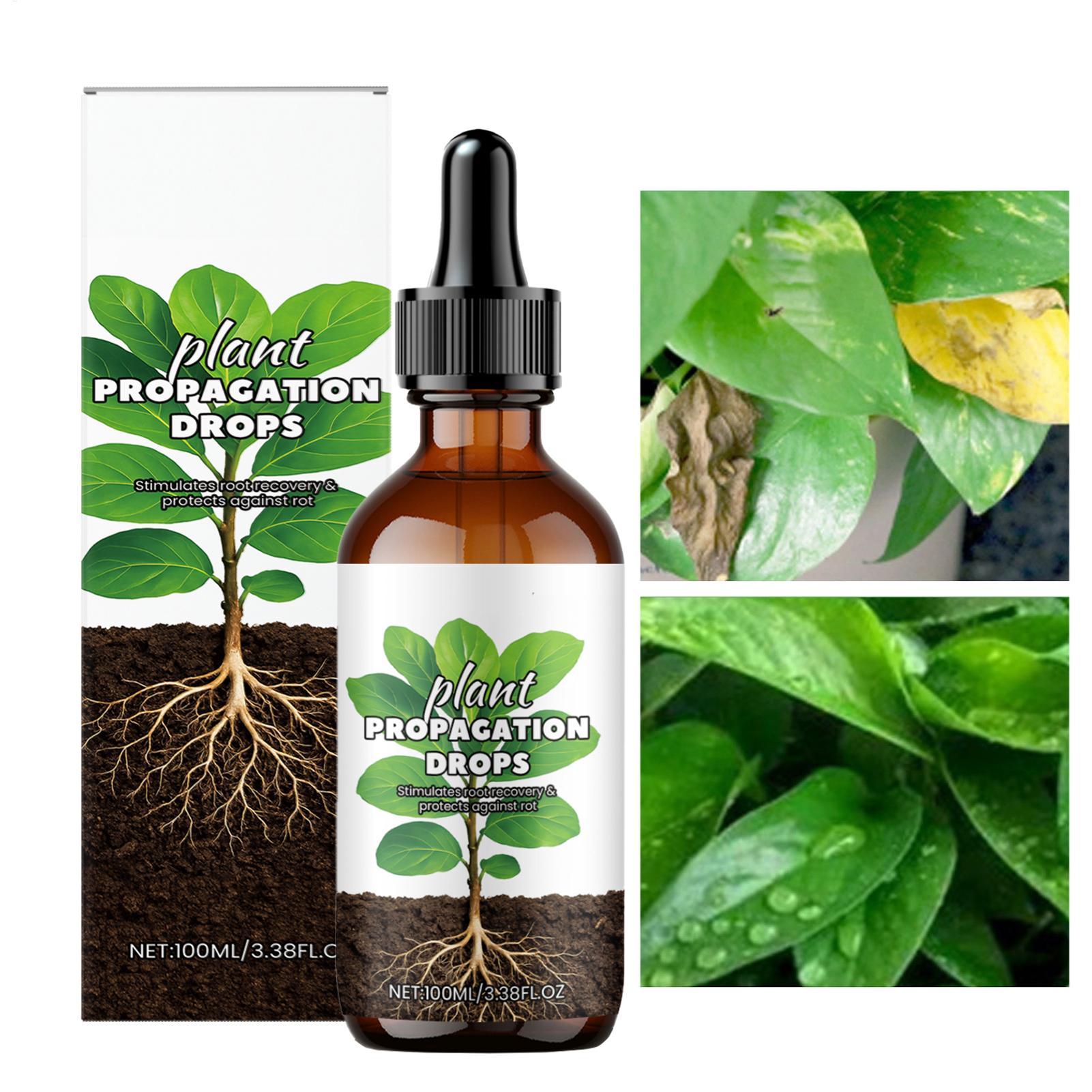 Root Booster 100ml Liquid Root - Root Stimulator Liquid ulasan dan harga