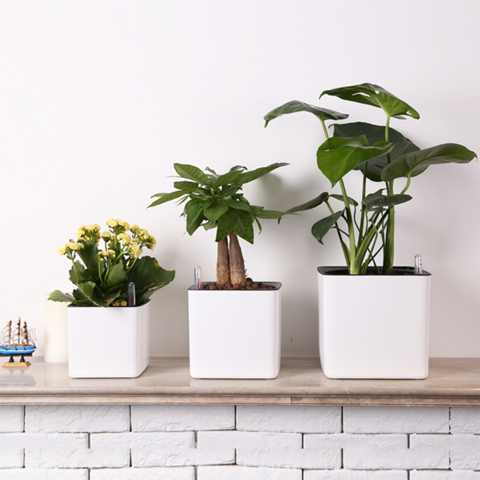 Automatic Self Watering Flower - Self Watering Insert ulasan dan harga