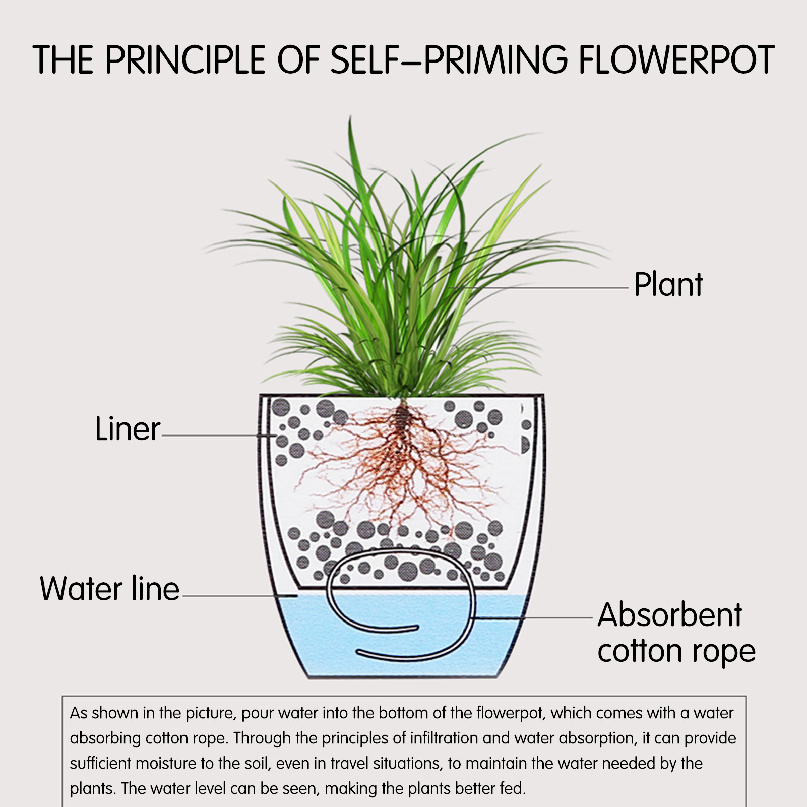 Automatic Self Watering Flower - Self Watering Insert ulasan dan harga
