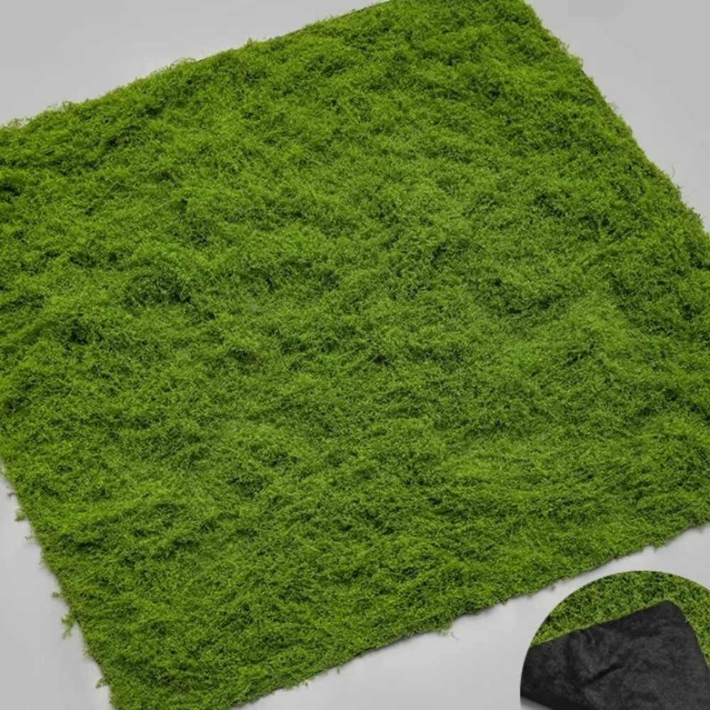 DIY Artificial Grass Rug Durab - Sphagnum Moss Dry ulasan dan harga