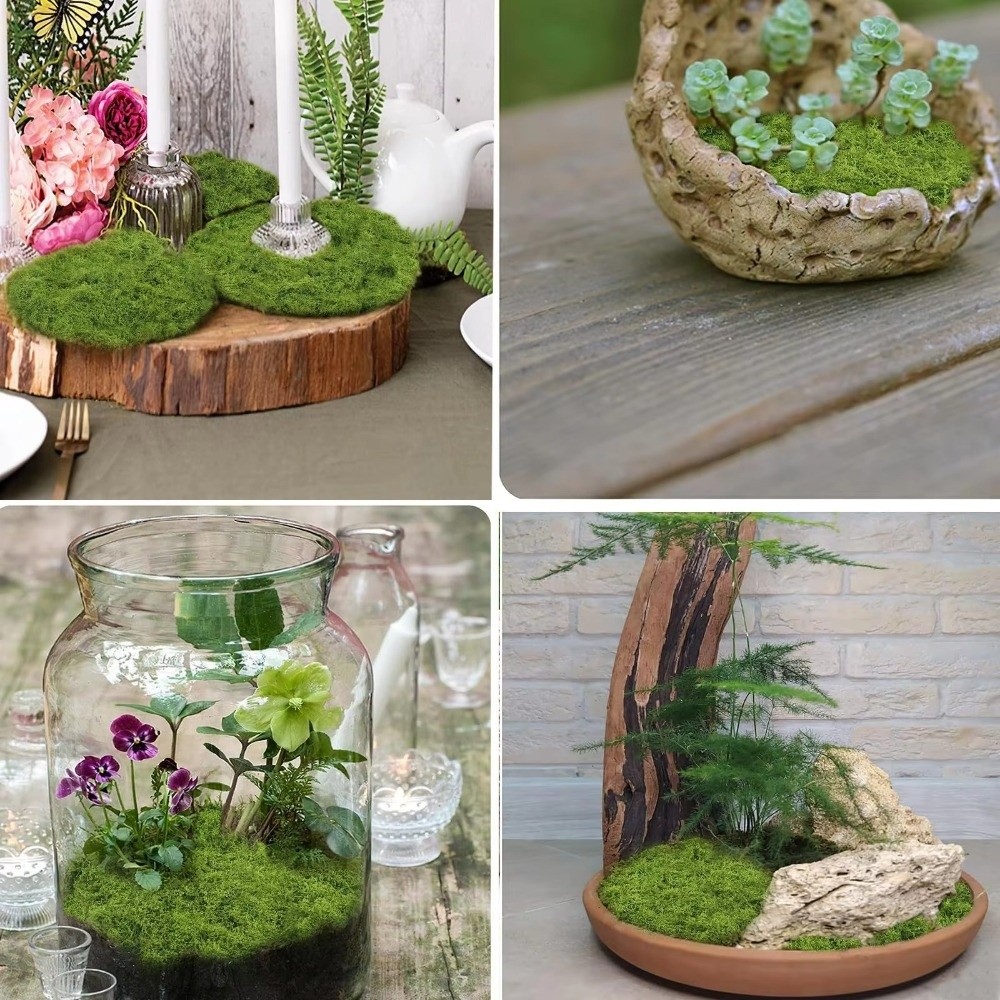 DIY Artificial Grass Rug Durab - Sphagnum Moss Dry ulasan dan harga
