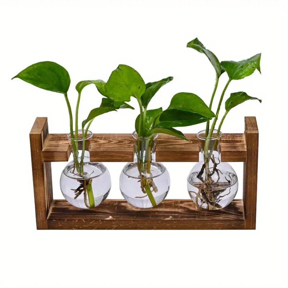 Tabletop Glass Planter Propaga - Propagation Station Vase ulasan dan harga