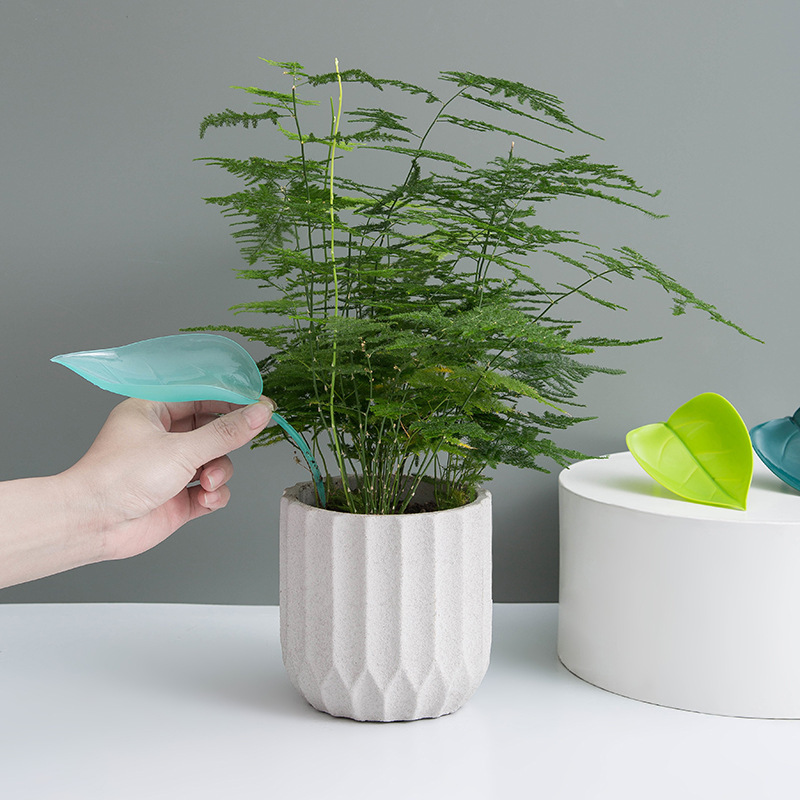 Creative Potted Foliage Divers - Self Watering Insert ulasan dan harga