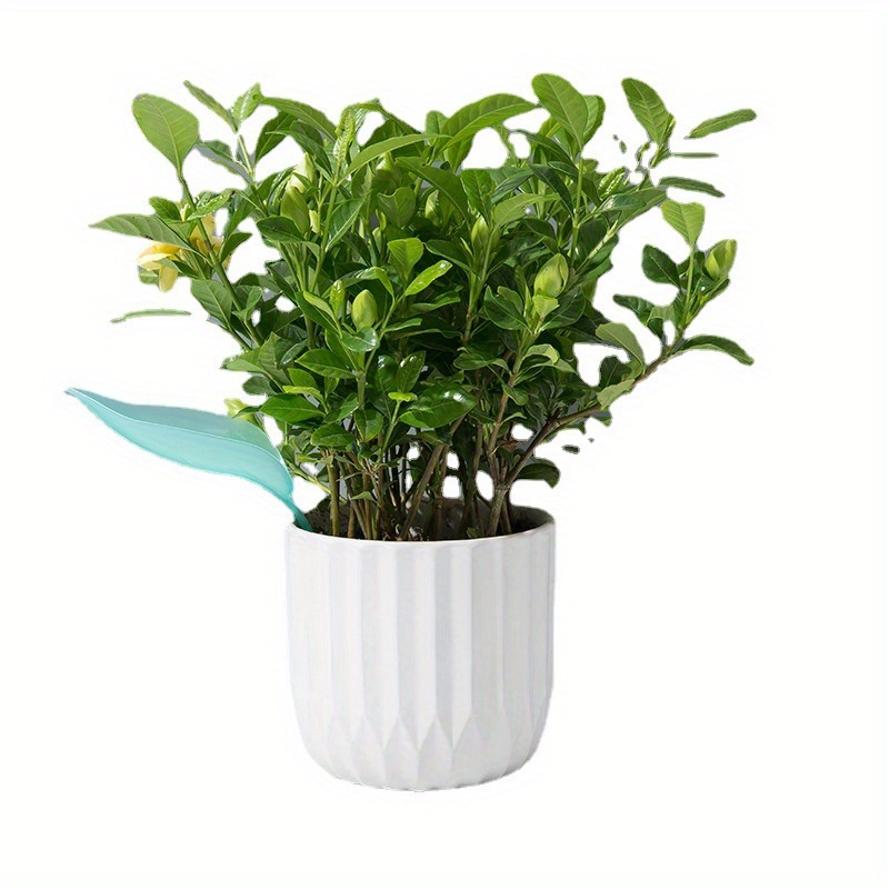 Creative Potted Foliage Divers - Self Watering Insert ulasan dan harga