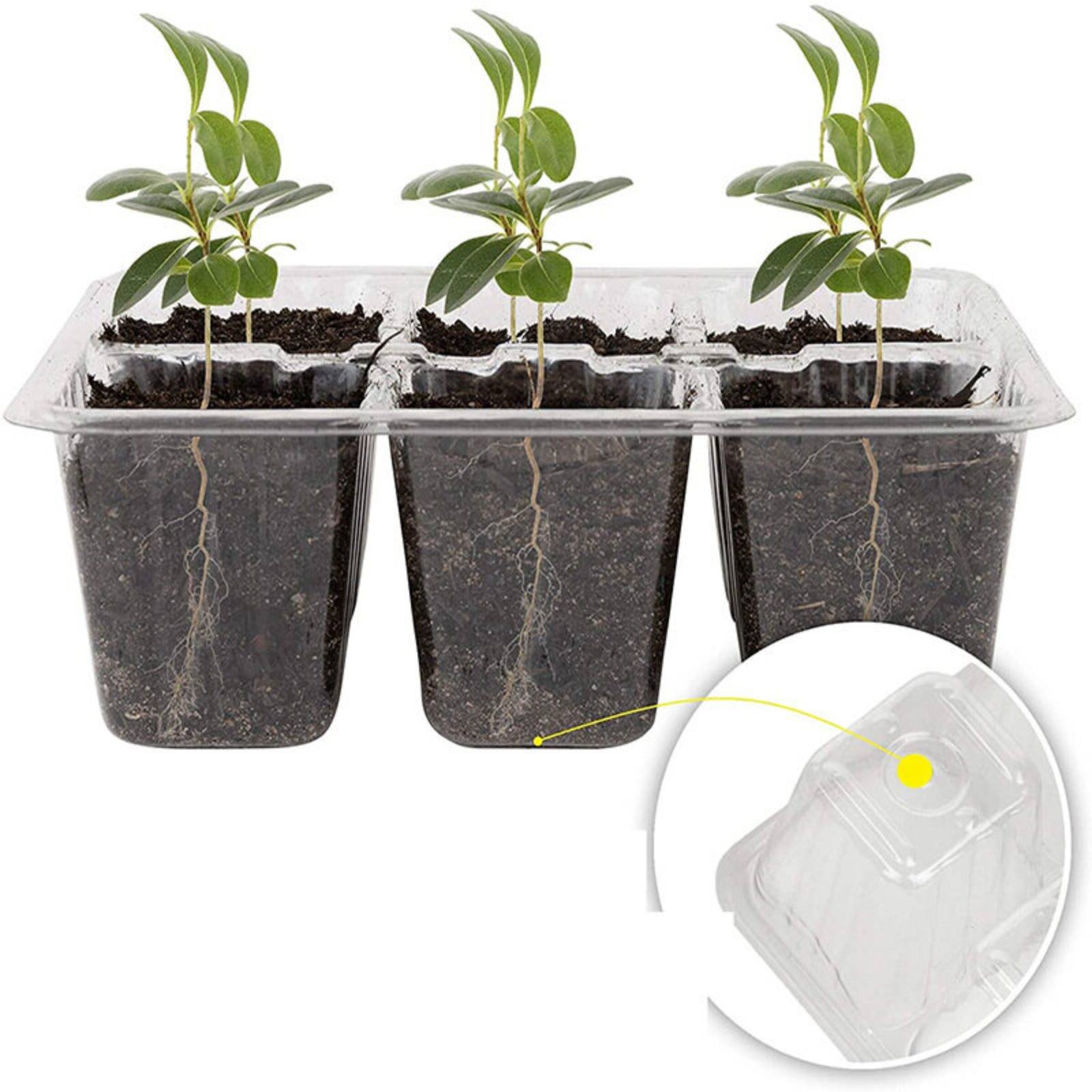 12 Compartment Germination Tra - Humidity Dome Kit ulasan dan harga