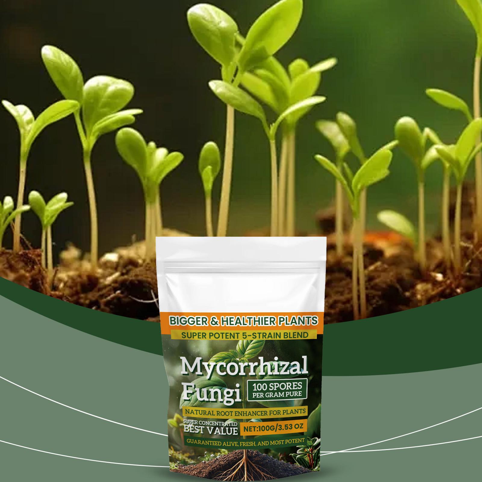 100g Plant Nutrient Powder Pla - Rooting Hormone Powder ulasan dan harga