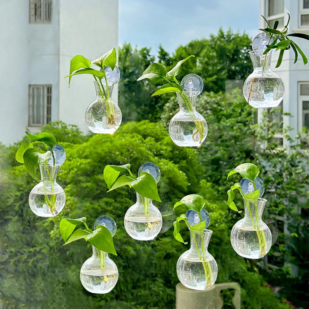 Window Planter Vase Window Pla - Propagation Station Vase ulasan dan harga