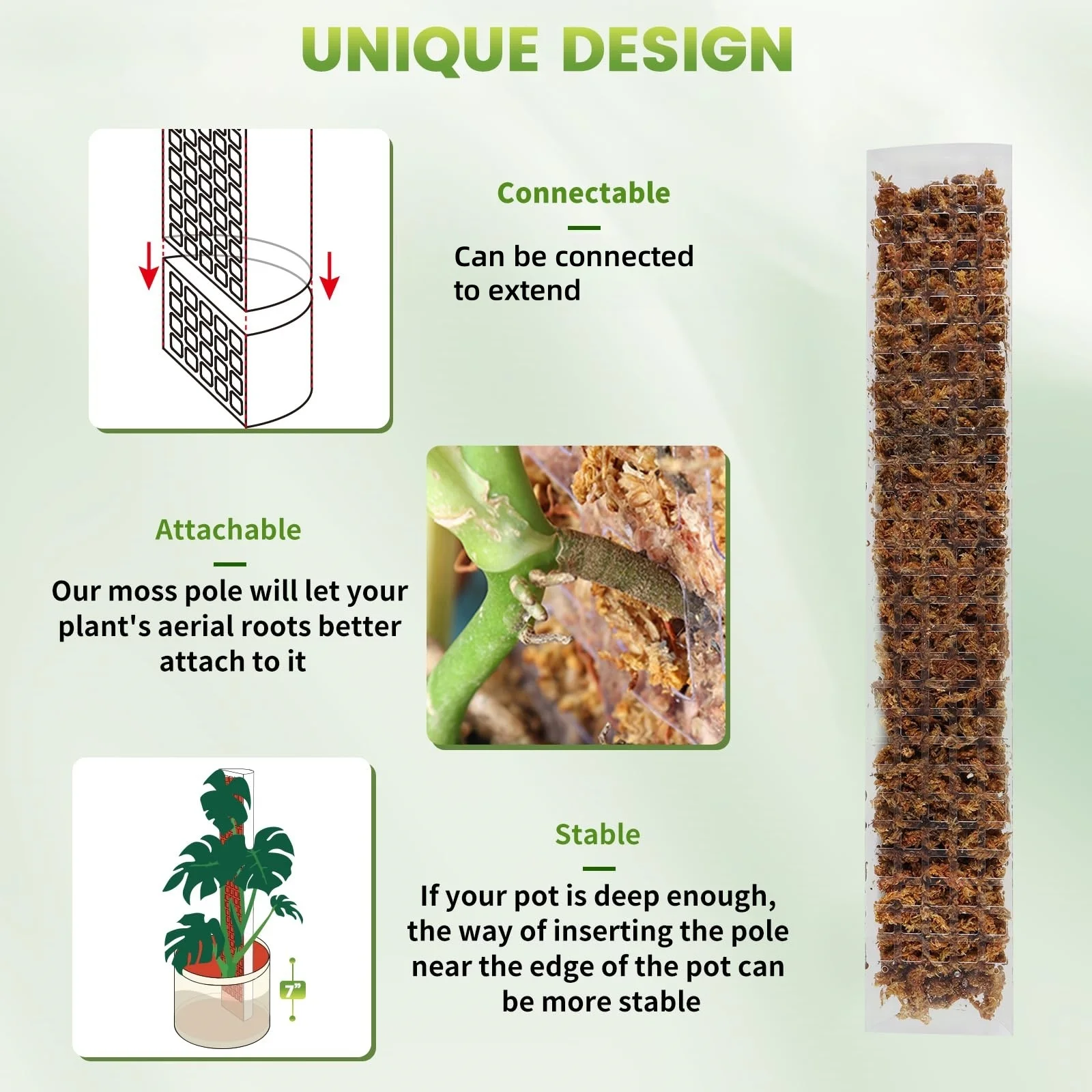 24in/36in/48 inch Plastic Moss - Sphagnum Moss Dry ulasan dan harga