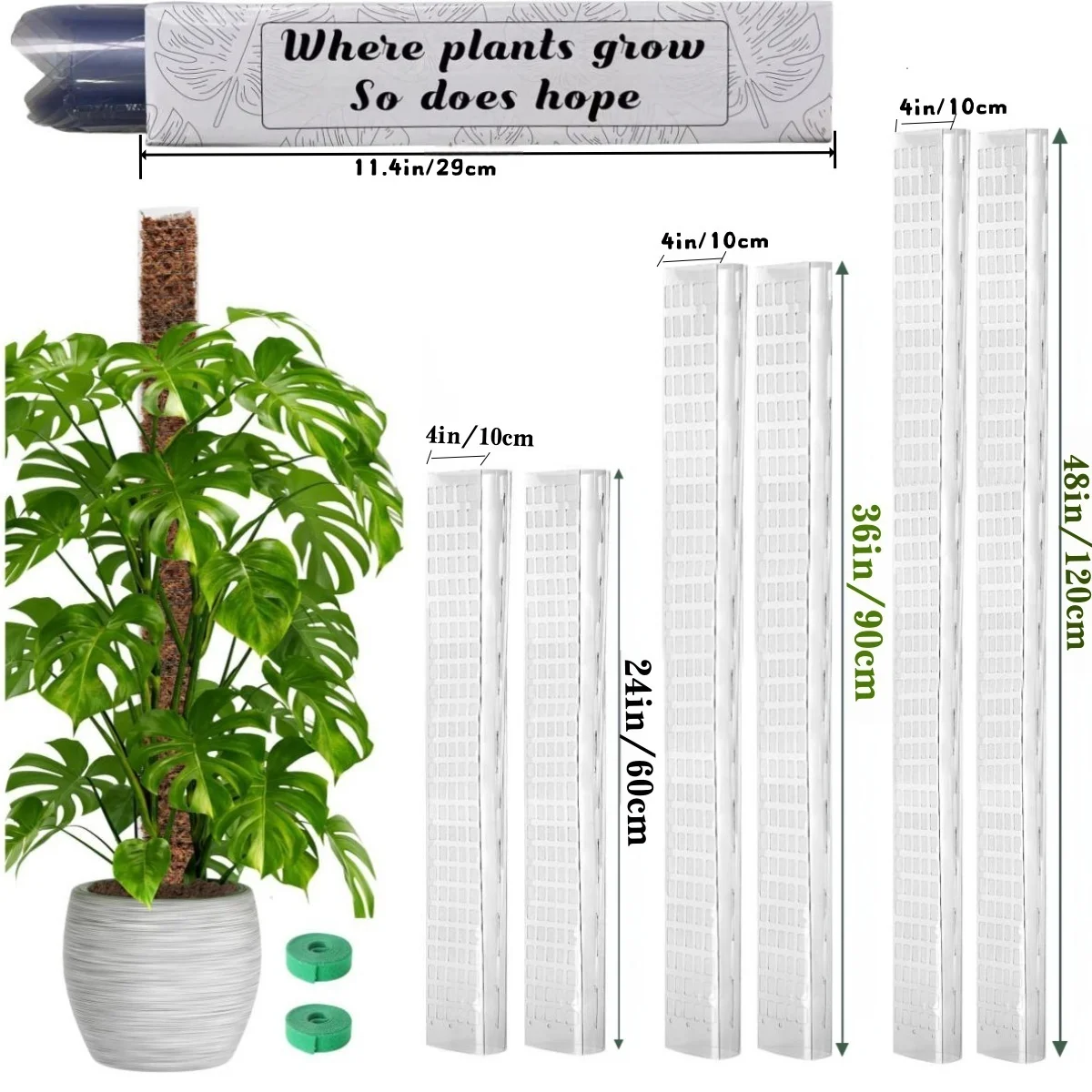 24in/36in/48 inch Plastic Moss - Sphagnum Moss Dry ulasan dan harga