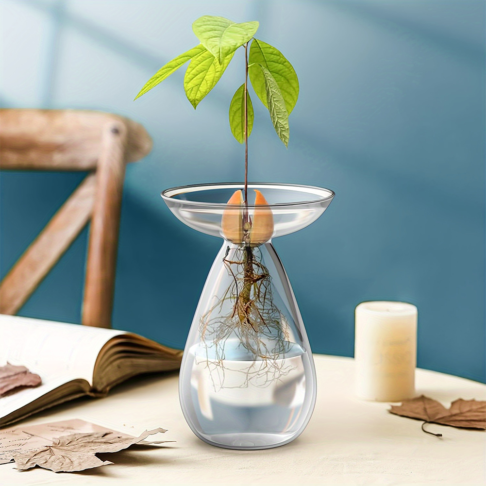 Avocado Seed Starter Hydroponi - Propagation Station Vase ulasan dan harga