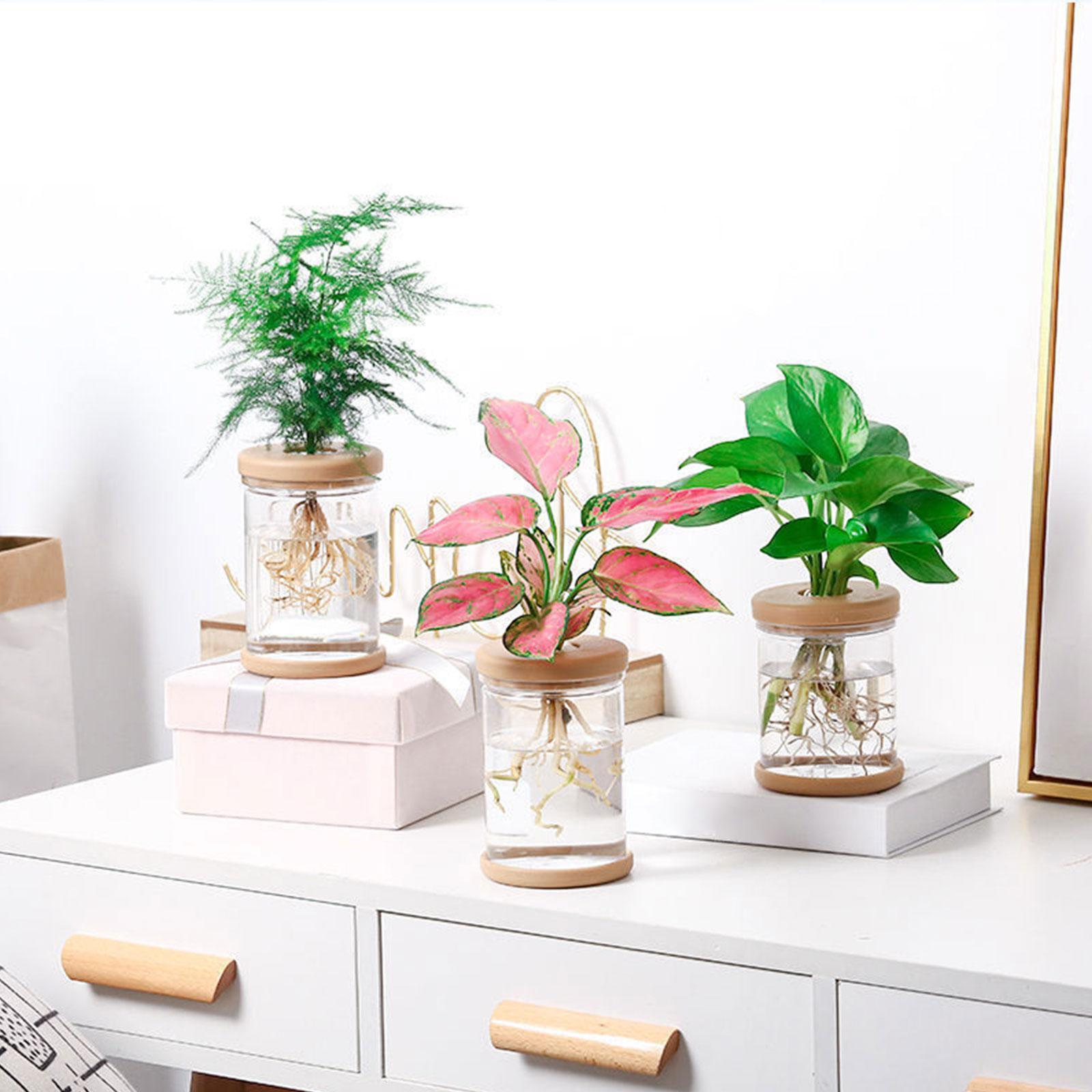 3Pcs Hydroponics Flower Vases  - Propagation Station Vase ulasan dan harga