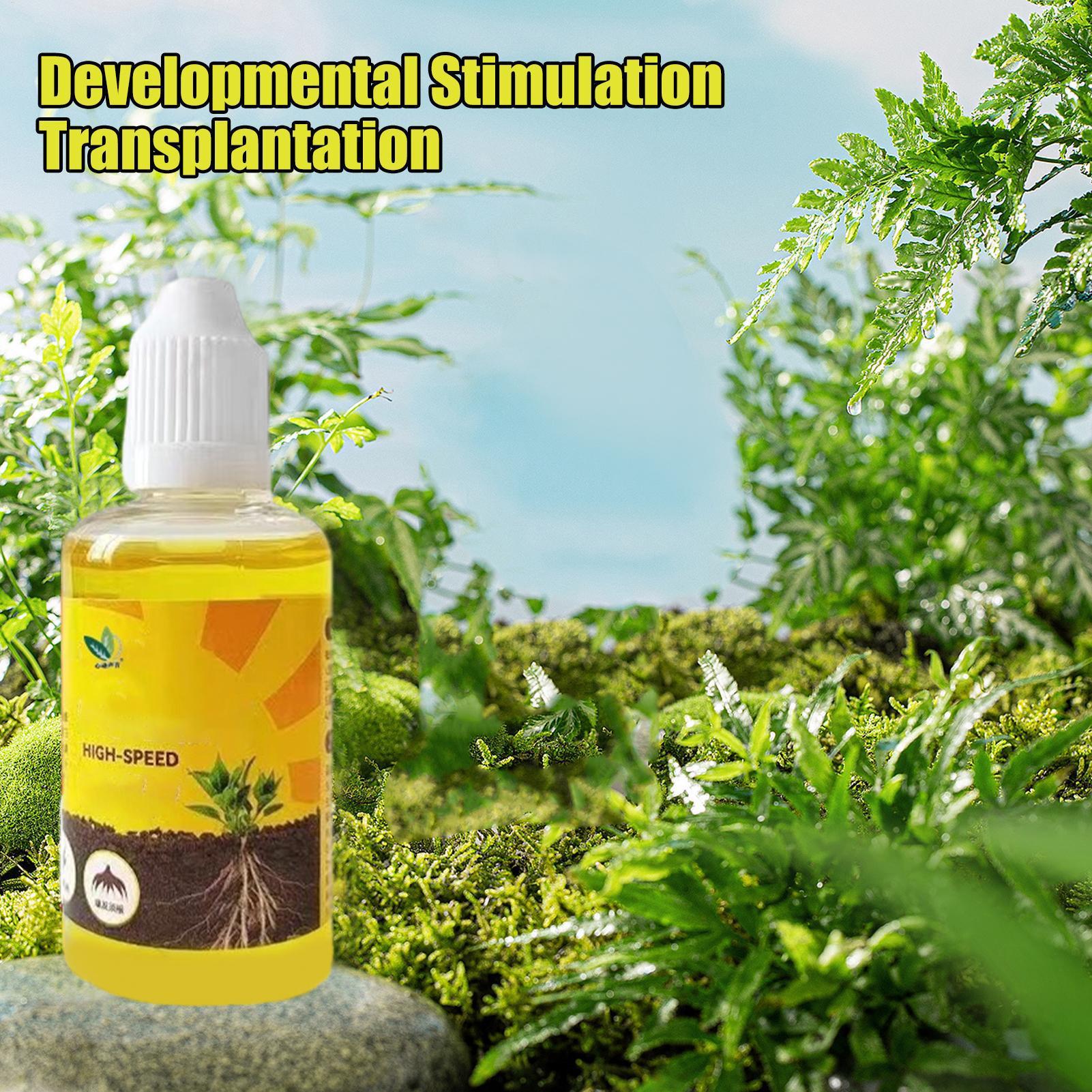 50ml Plant Rooting Stimulator  - Root Stimulator Liquid ulasan dan harga