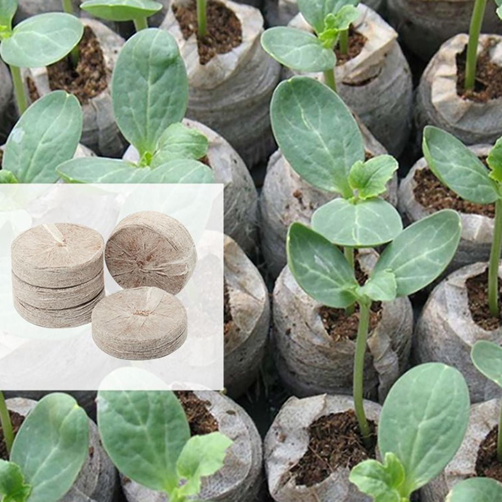 100 Piece Potting Mix Trays 30 - Peat Pellet Tray ulasan dan harga
