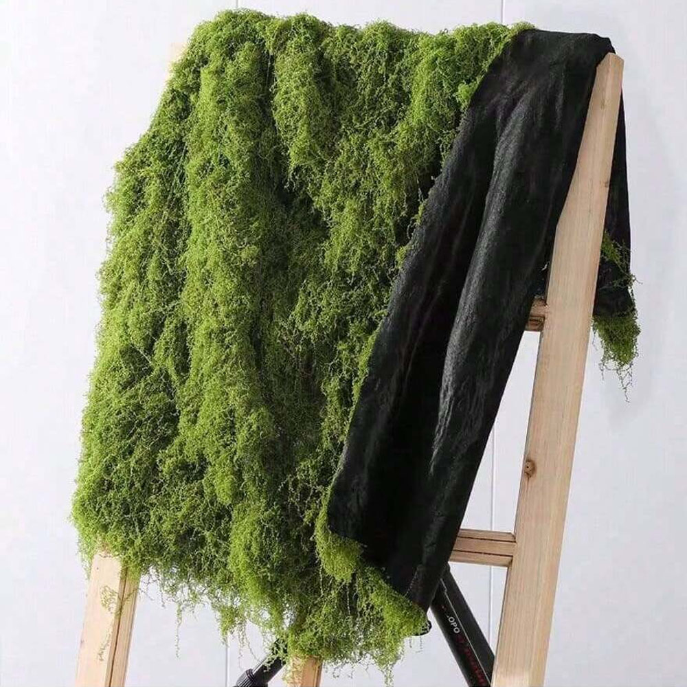 1*1m Fake Moss DIY Crafts Gras - Sphagnum Moss Dry ulasan dan harga
