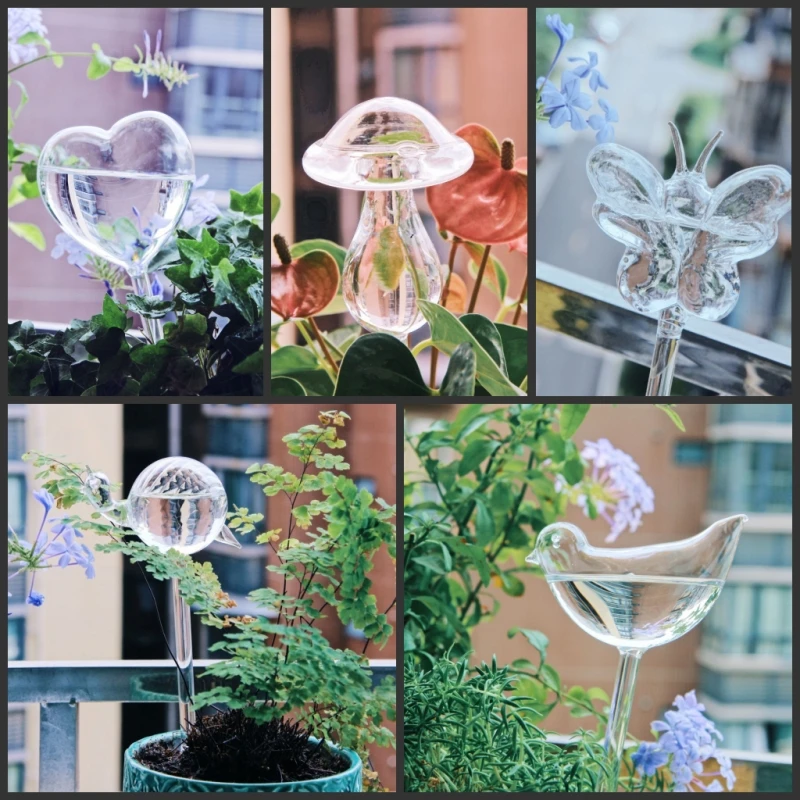 Creative Glass Plant Flowers W - Self Watering Insert ulasan dan harga