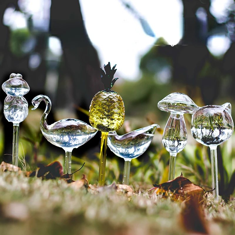 Creative Glass Plant Flowers W - Self Watering Insert ulasan dan harga