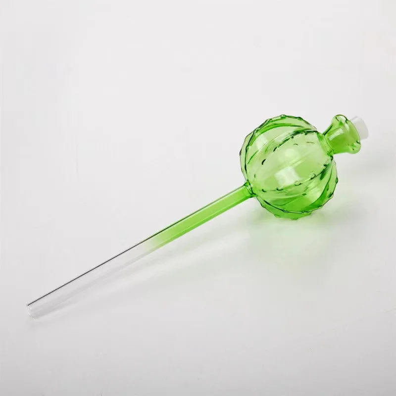 Creative Glass Plant Flowers W - Self Watering Insert ulasan dan harga