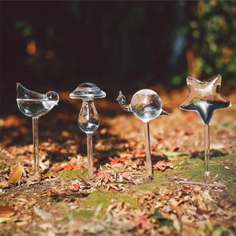 Creative Glass Plant Flowers W - Self Watering Insert ulasan dan harga