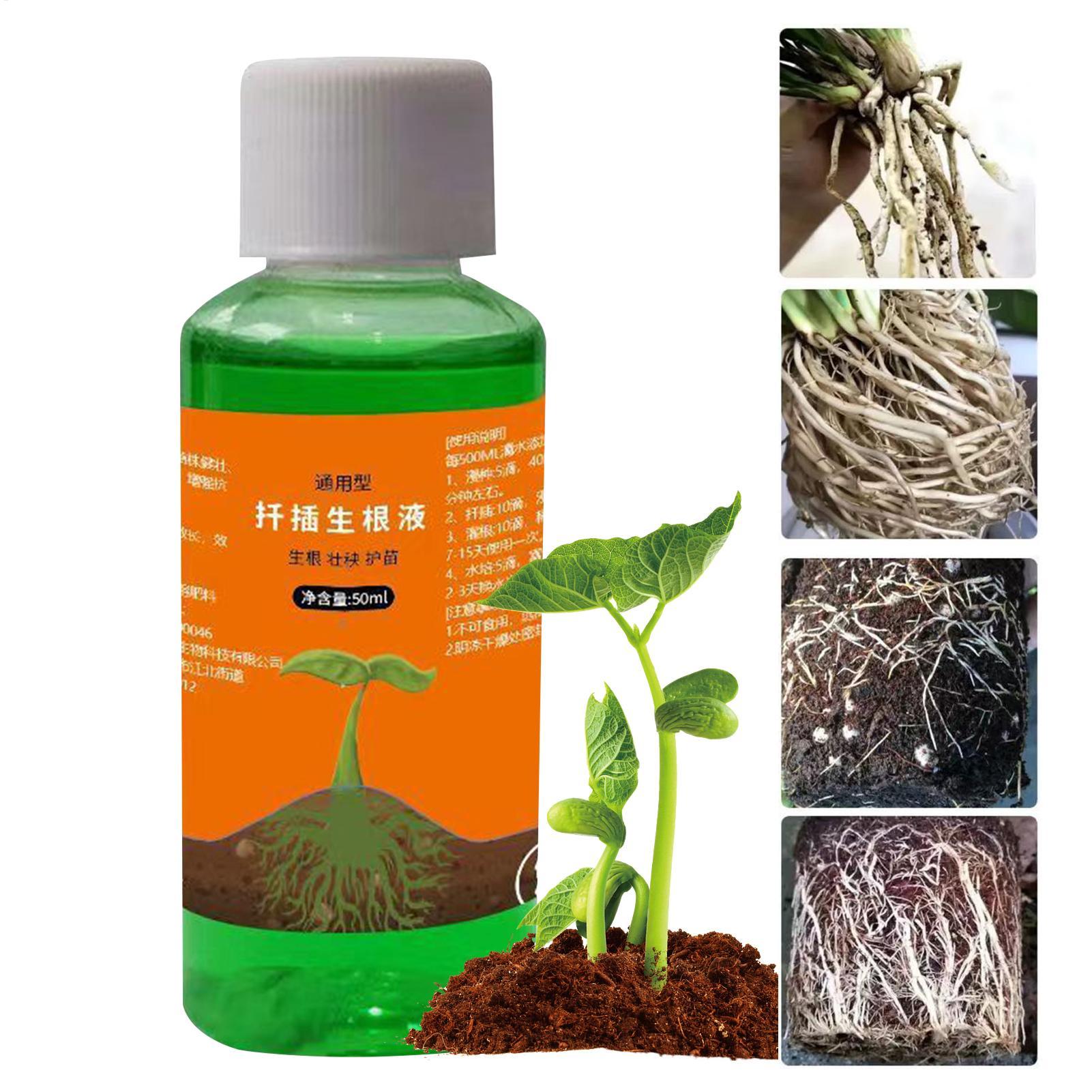 High-Efficiency Root Stimulato - Root Stimulator Liquid ulasan dan harga