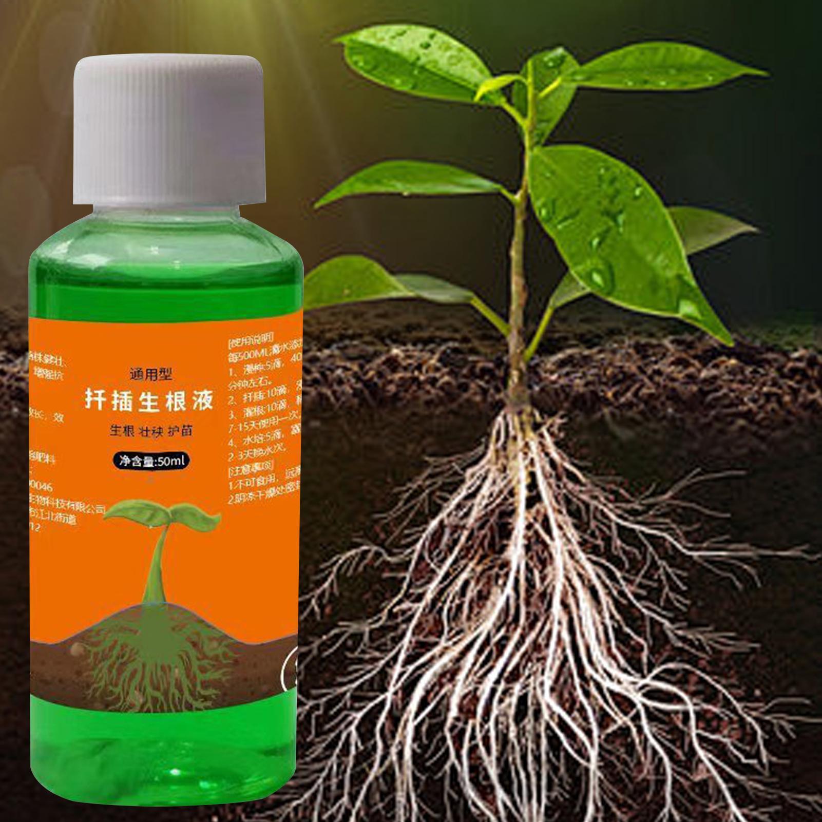 High-Efficiency Root Stimulato - Root Stimulator Liquid ulasan dan harga