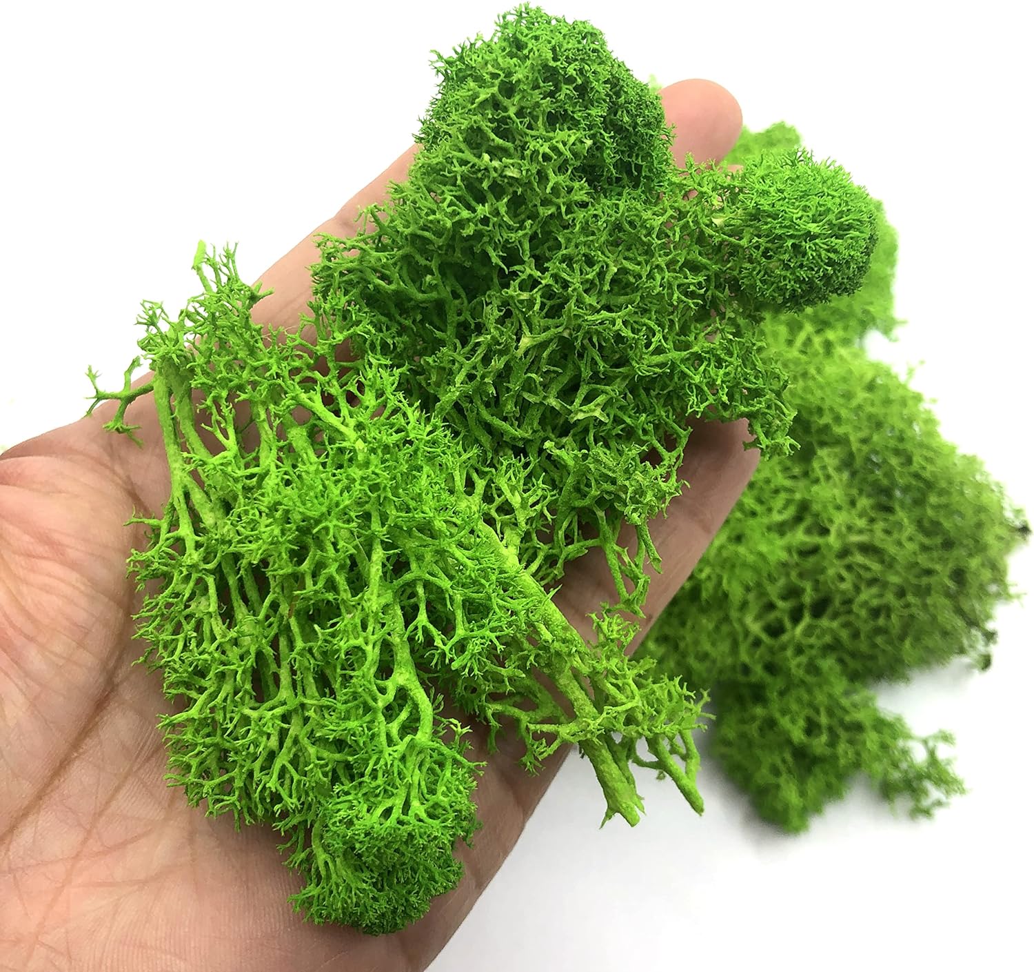 200g Artificial Green Plants M - Sphagnum Moss Dry ulasan dan harga