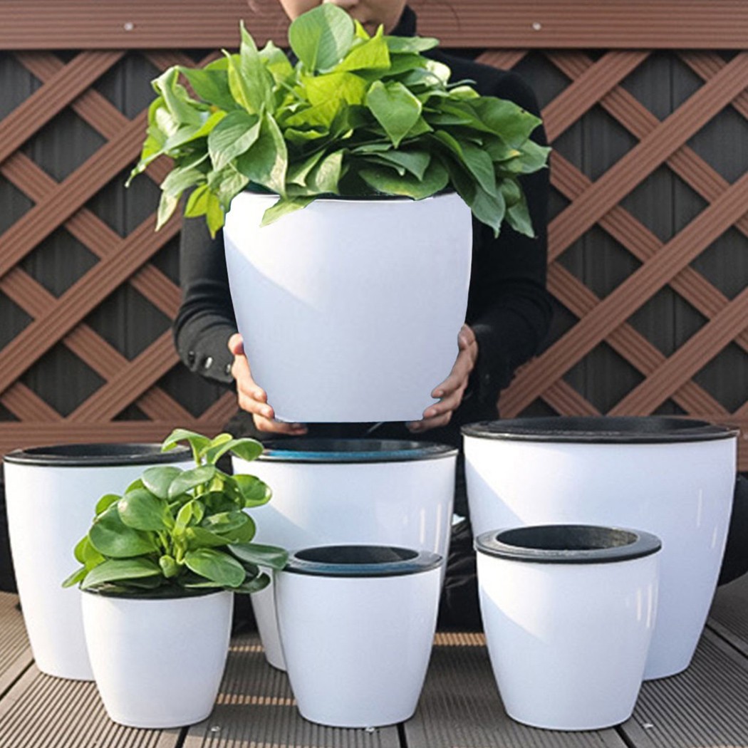 Automatic Watering Flower Plan - Self Watering Insert ulasan dan harga