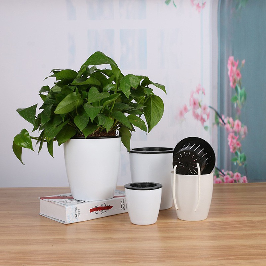 Automatic Watering Flower Plan - Self Watering Insert ulasan dan harga