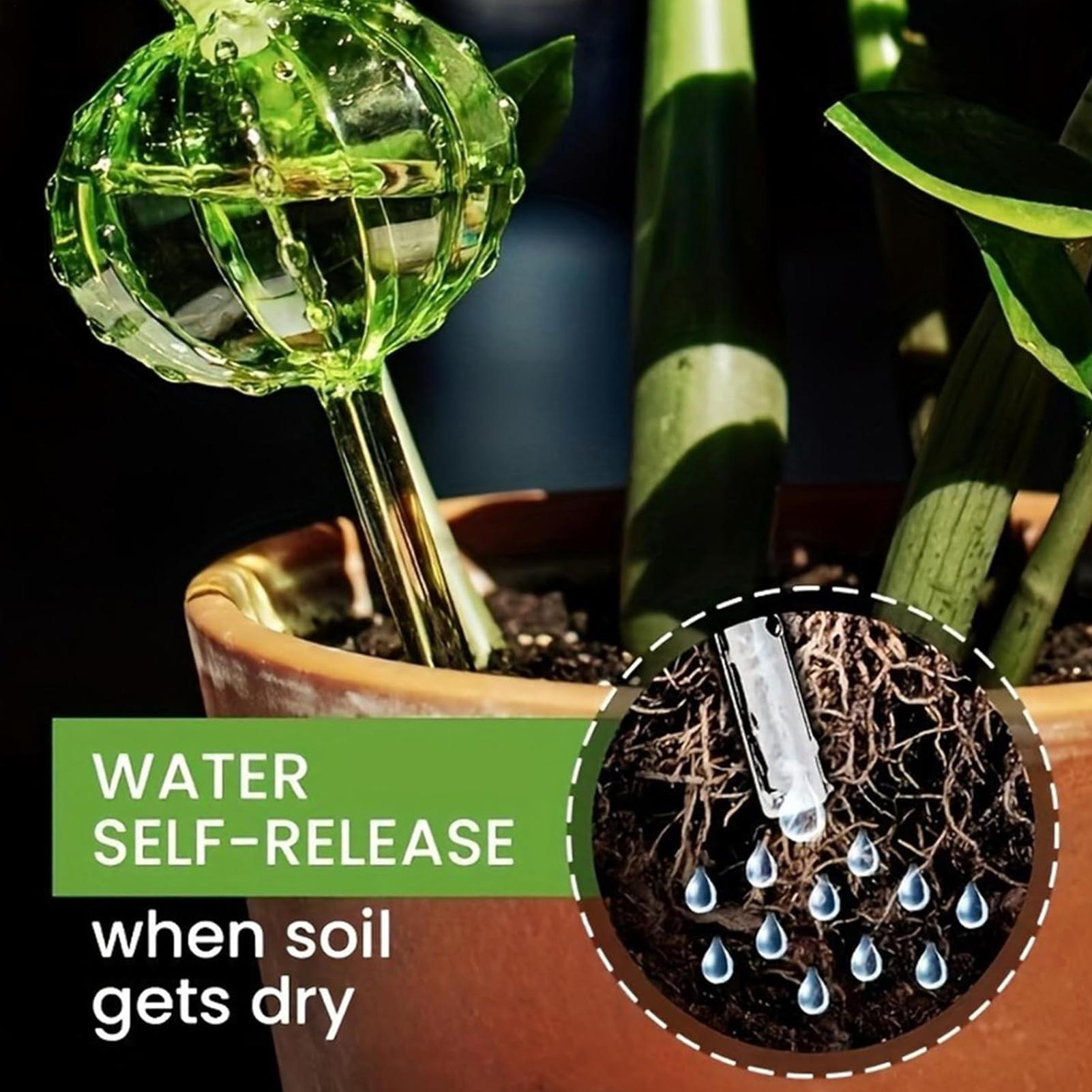 Plant Watering Stakes 3 Pieces - Self Watering Insert ulasan dan harga