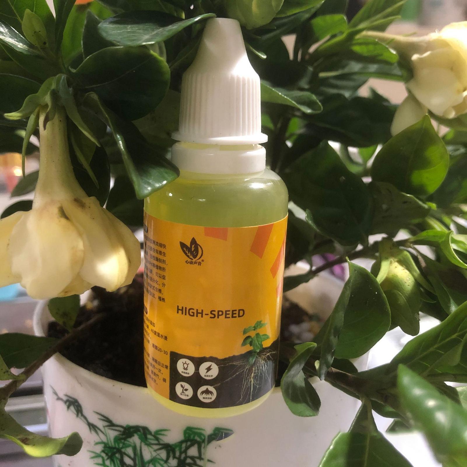 Plant Rapid Rooting Solution 5 - Root Stimulator Liquid ulasan dan harga