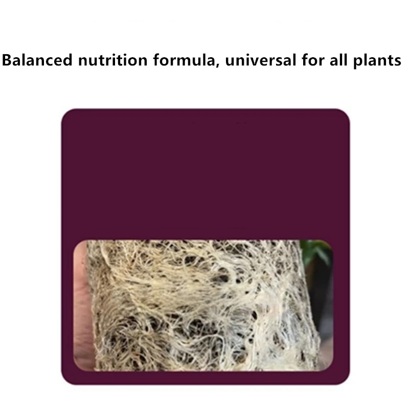 2bags Rooting Hormone Powder U - Rooting Hormone Powder ulasan dan harga