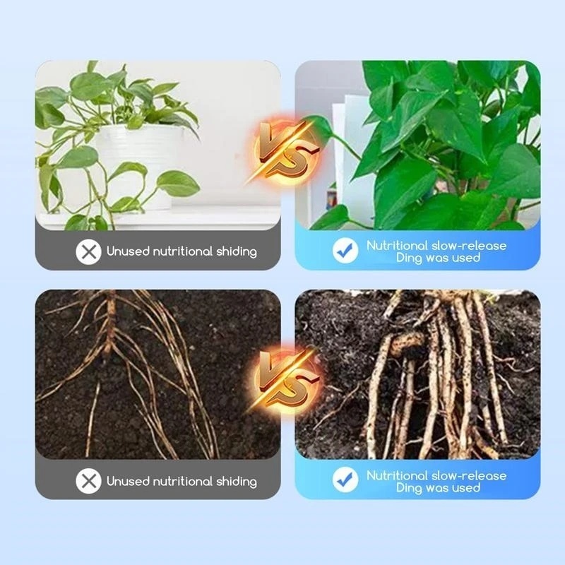 500g High-strength Rooting Hor - Rooting Hormone Powder ulasan dan harga