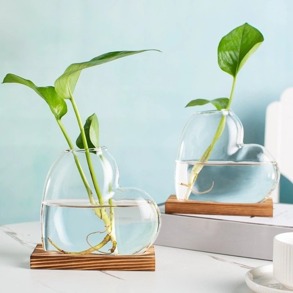 Transparent Hydroponic Glass V - Propagation Station Vase ulasan dan harga