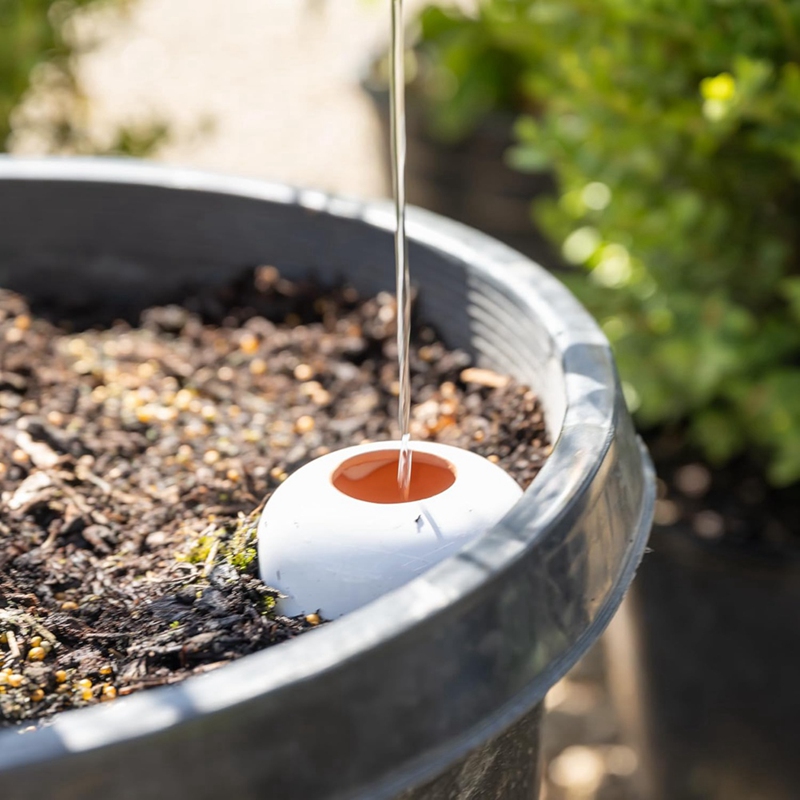 Plant Watering Ball, Terracott - Self Watering Insert ulasan dan harga